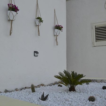 Casa Vacanza Salentina Gagliano del Capo Exterior foto